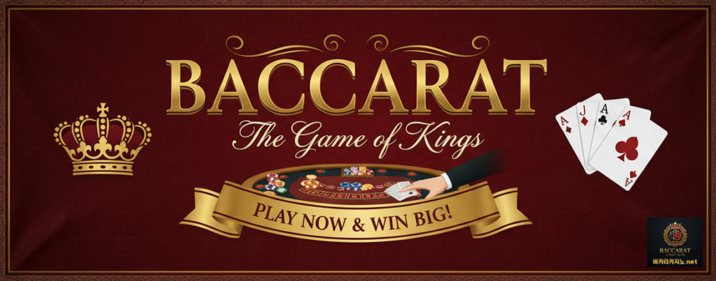 바카라카지노 추천